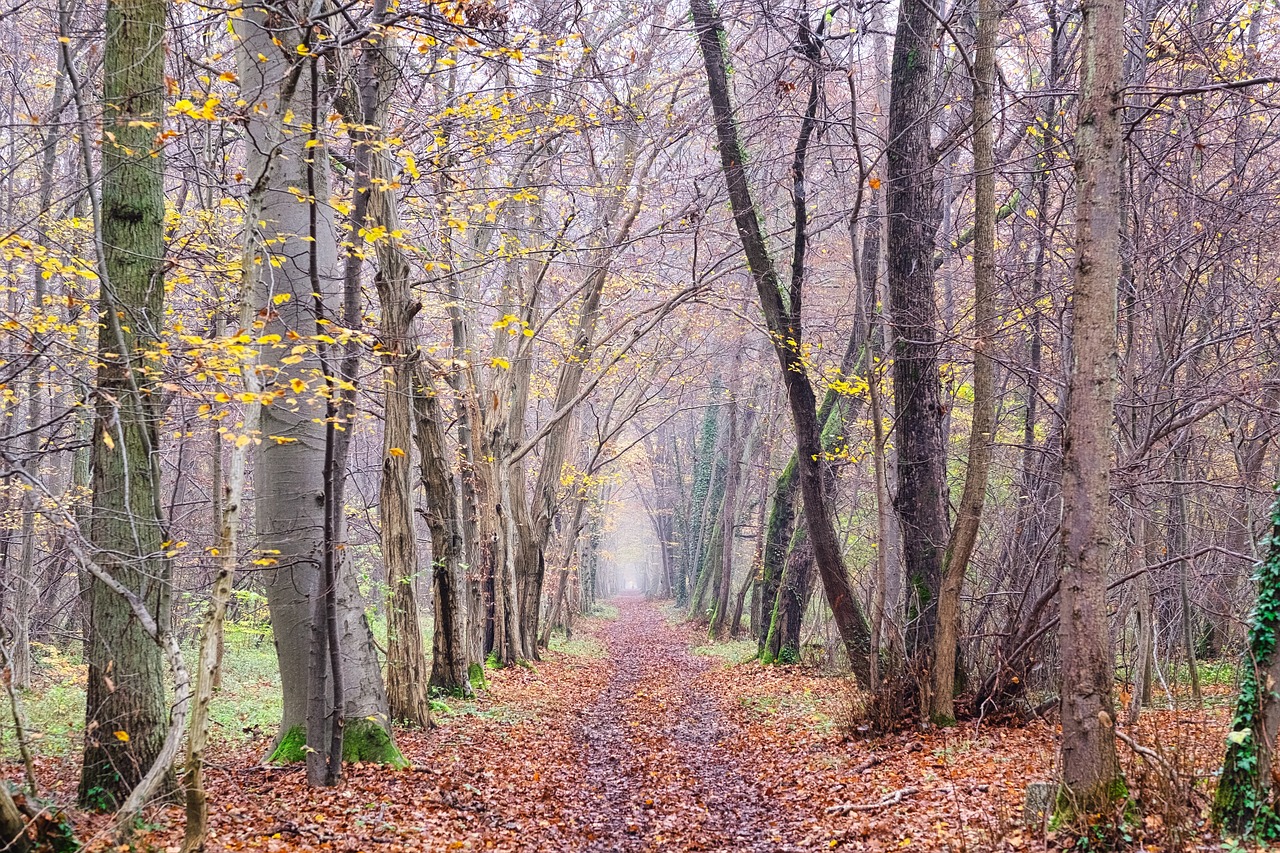 bretagne en automne à vélo